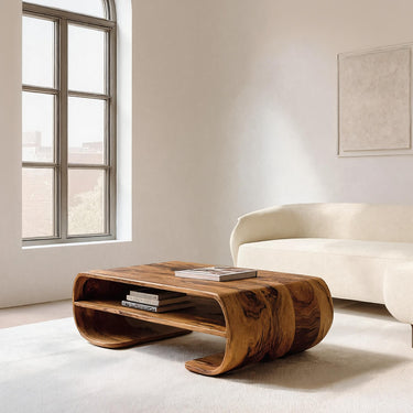 Contemporary Organic Coffee Table With Storage Shelf For Living