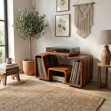 Contemporary Vinyl Record Stand For Listening Room