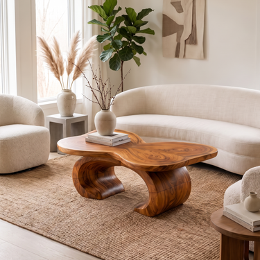 Organic Modern Coffee Table For Living Room