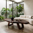RTNGHNCF149TBNA color walnut