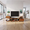 SILDTTNTVC168CBNNA color brown