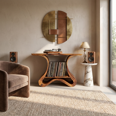 Organic Modern Vinyl Stand For Living Room