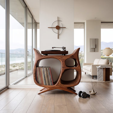 Organic Modern Wooden Record Player Cabinet For Living Room