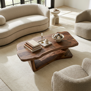 Rustic Minimal Coffee Table Family Room