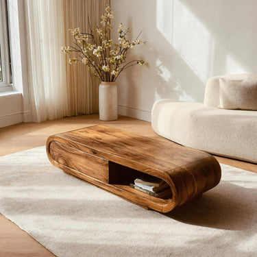 Modern Low Coffee Table With Storage For Living Room