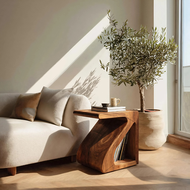Organic Modern Side Table For Living Decor